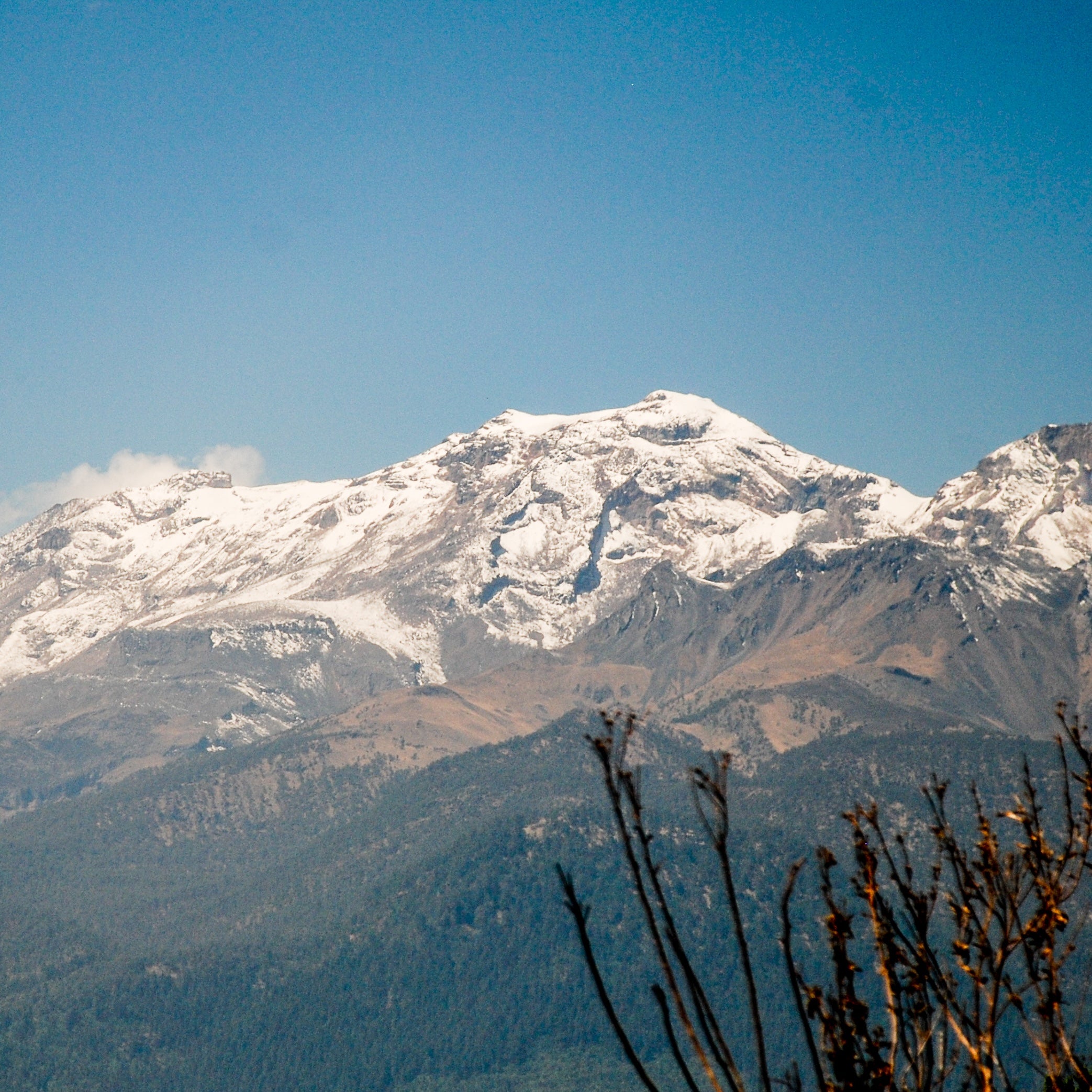 Nightcap Decaf - Image 2