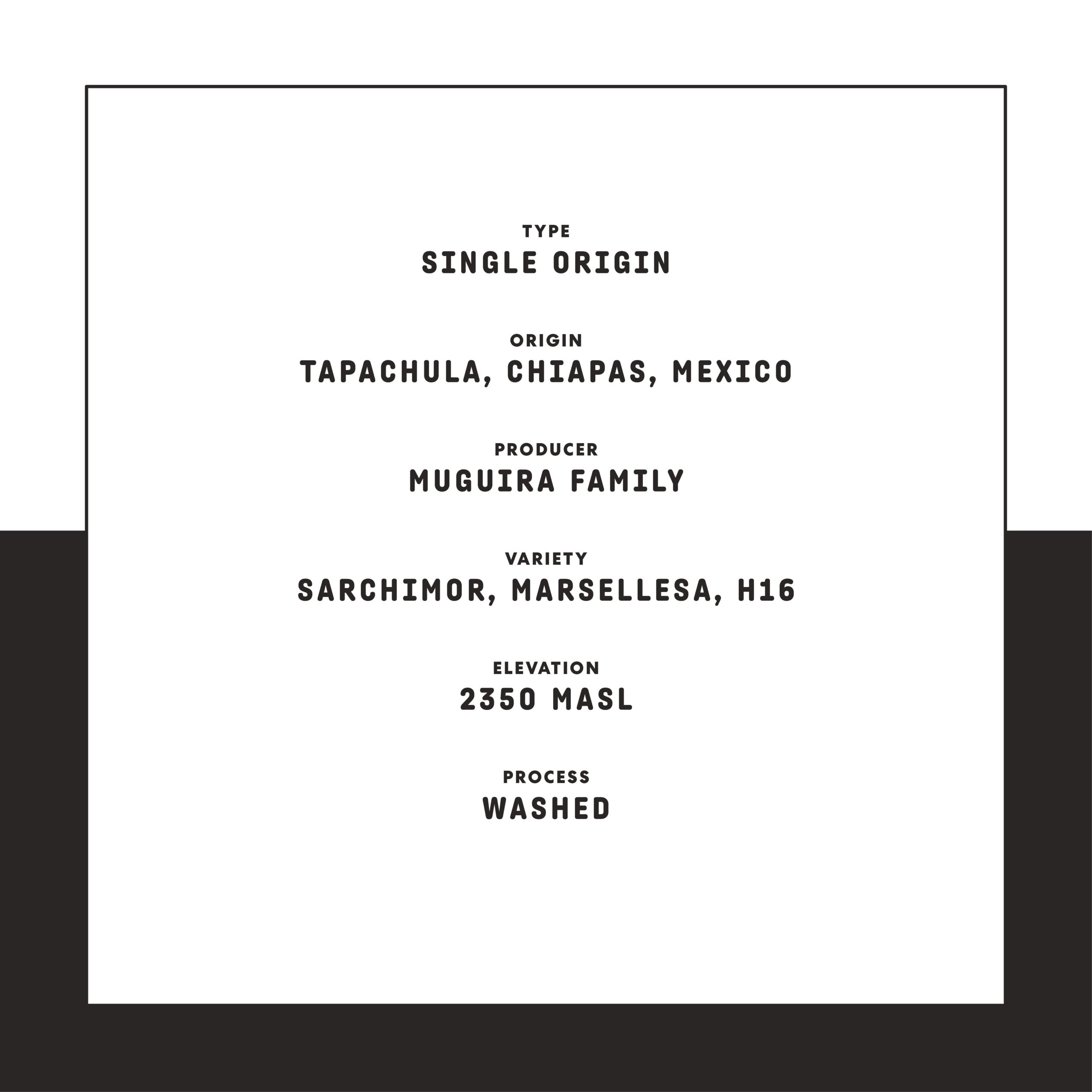 Nightcap Decaf - Image 5